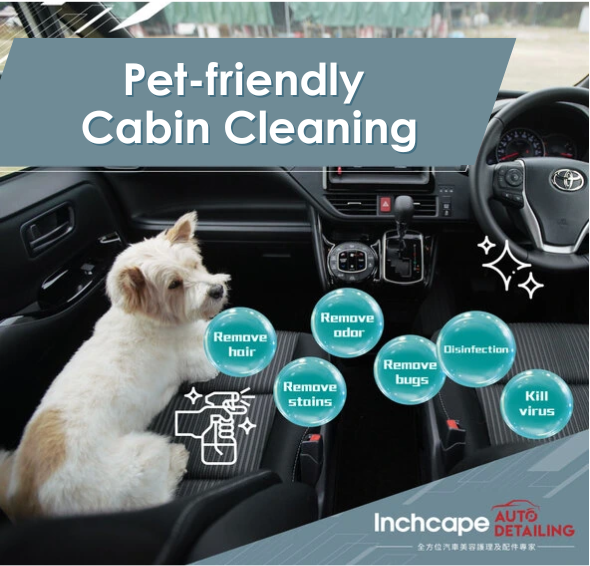 🐾 New! Pet-friendly Cabin Cleaning | Inchcape Auto Detailing 🚘