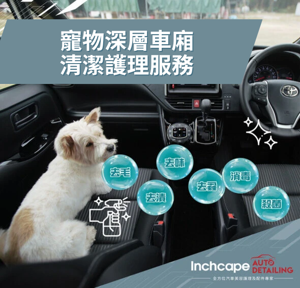 全新 「寵物車廂深層清潔服務」| Inchcape Auto Detailing 