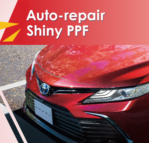 Auto-repair Shiny PPF